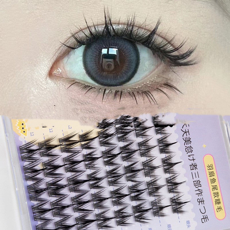 False Eyelashes Caramel Guppy 6 Rows Natural Long Style for Eye Makeup