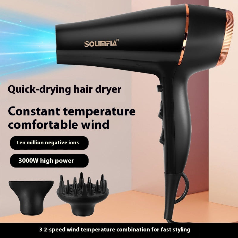 High Power Electric Hair Dryer with 5-Speed Air Temperature and Negative Ion