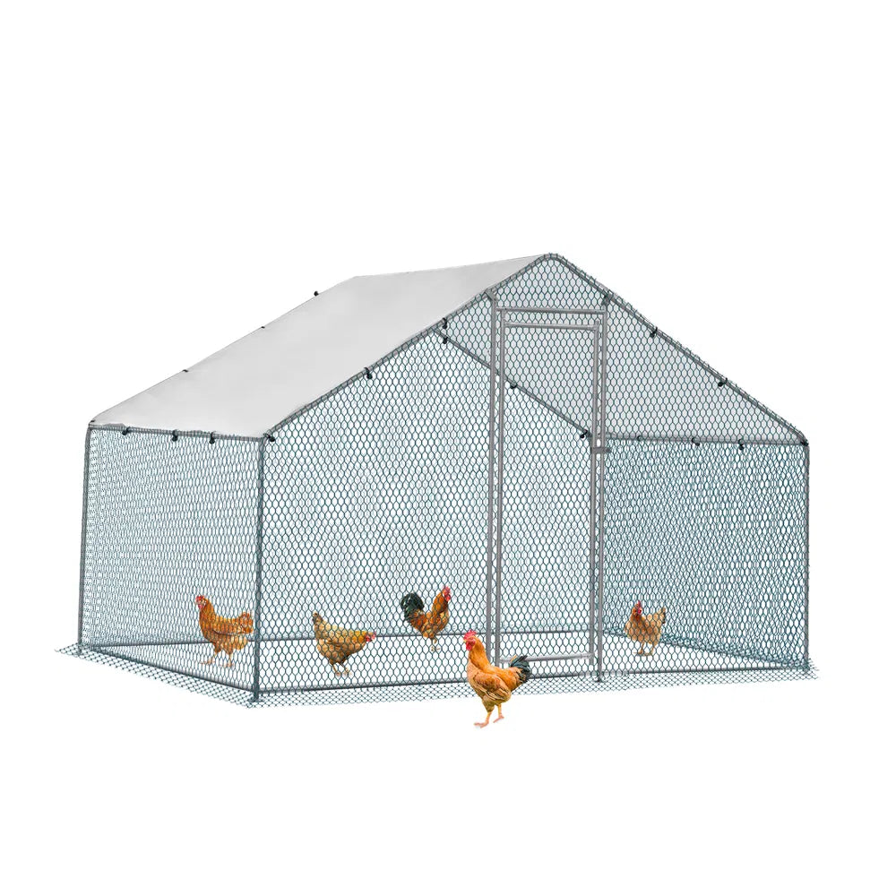 Large Metal Chicken Coop 6.5x6.5x6.5 ft with Rain Cover & Pointed Roof