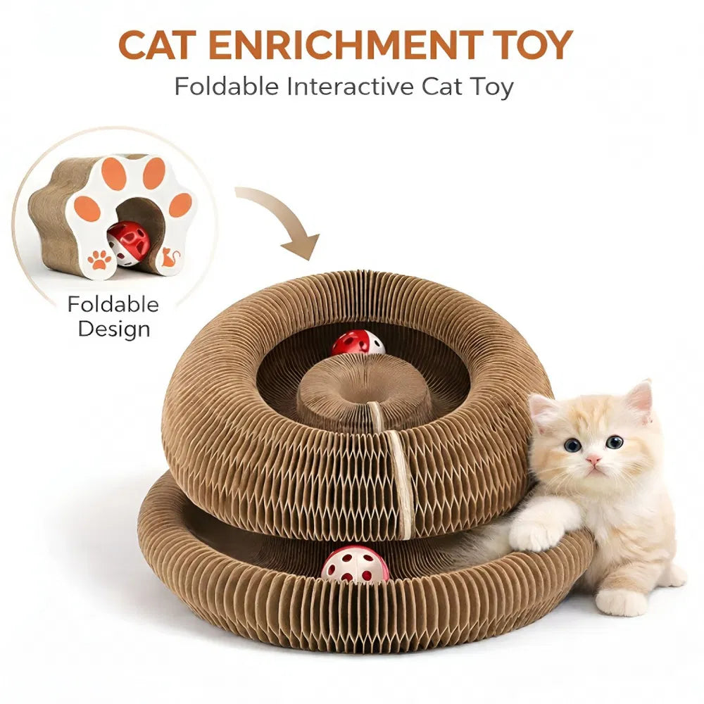 Foldable Cat Scratcher Toy with Ball - Interactive Kitty Play & Rest Bed