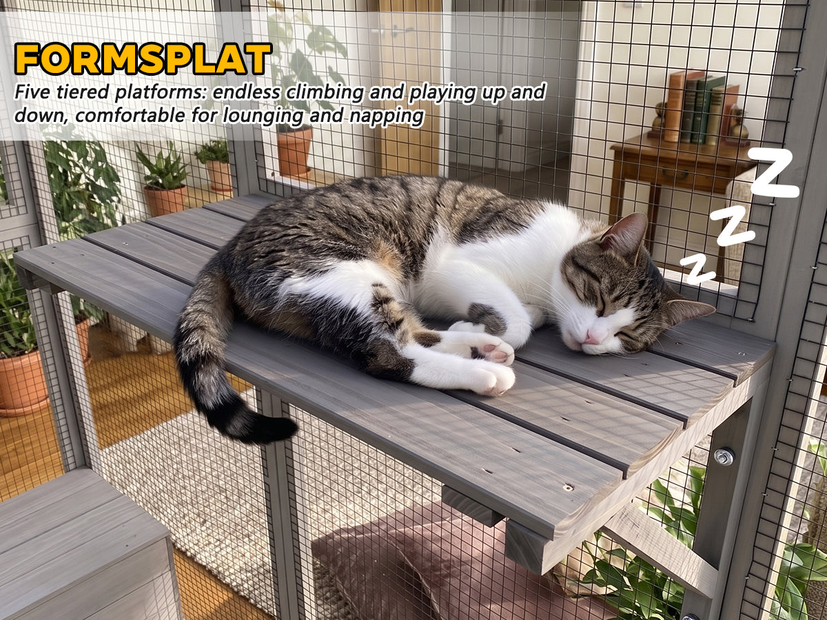 Gray Wooden Cat Enclosure with Waterproof Top, 2 Napping Boxes, Spacious & Secure