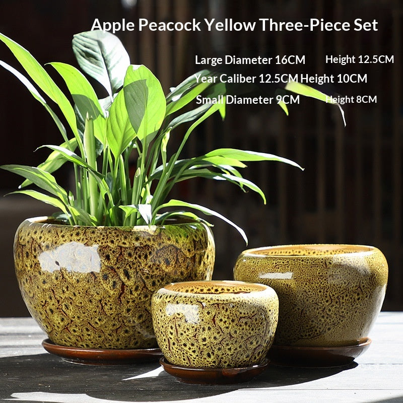 Minimalist Succulent Pot Set - Breathable, Durable Terracotta Planters with Trays