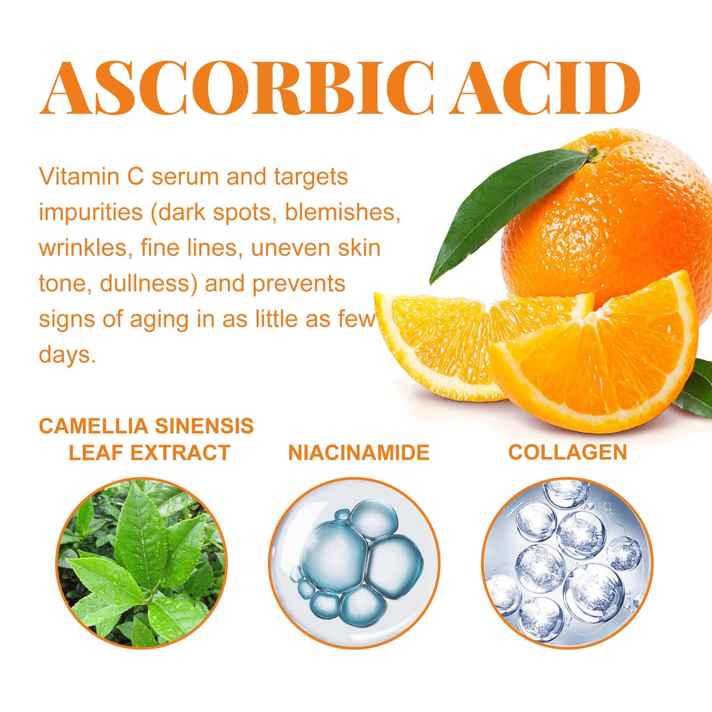Vitamin C Face and Body Serum - Brightening and Anti-Aging Skincare 100ml