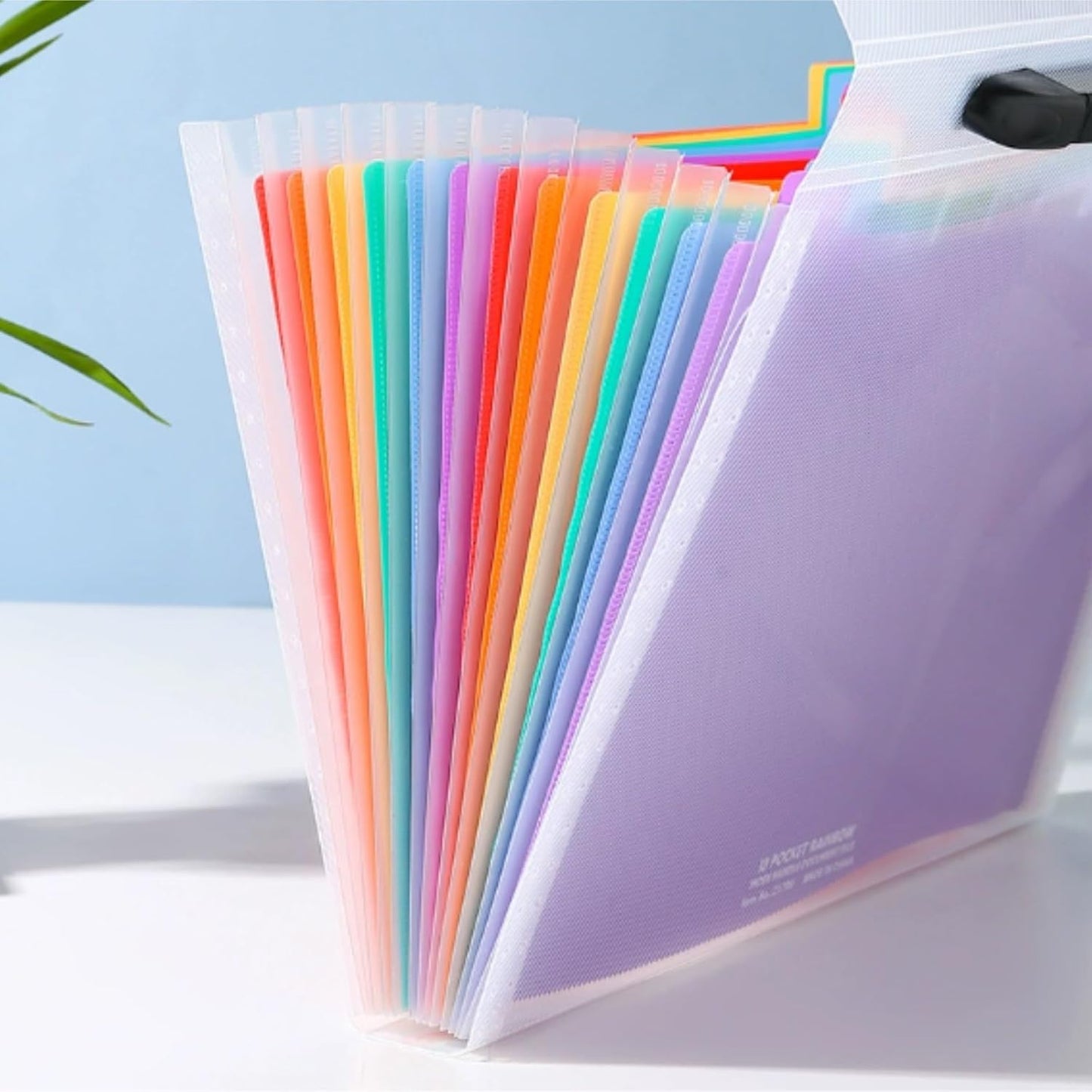 Large Capacity Accordion File Organizer - 13 Pocket A4 Folder