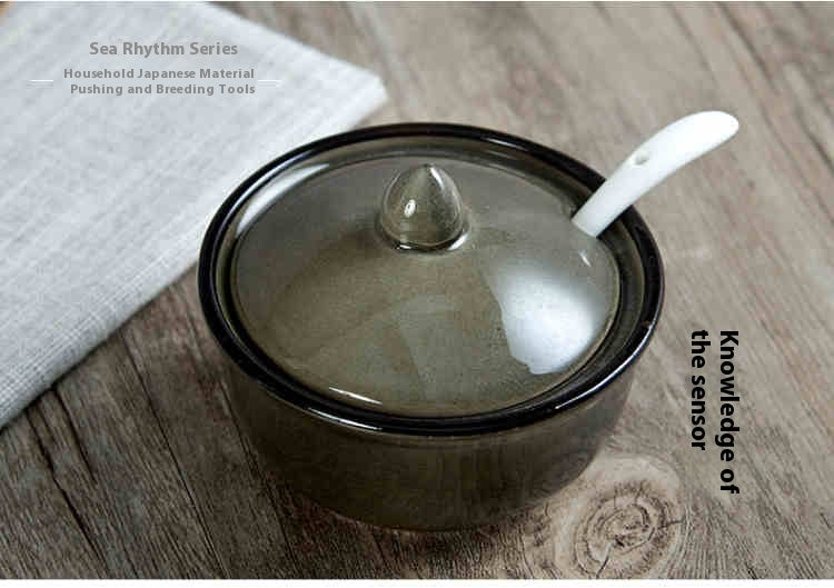 Ceramic Seasoning Bottle with Lid - Japanese Style Kitchen Jar - Multiple Series