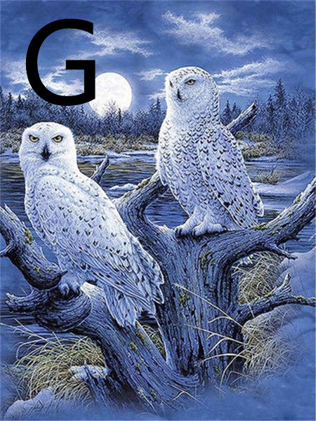 Owl Night Tree Pattern Embroidery Cross Stitch Kit - 5D Diamond Painting