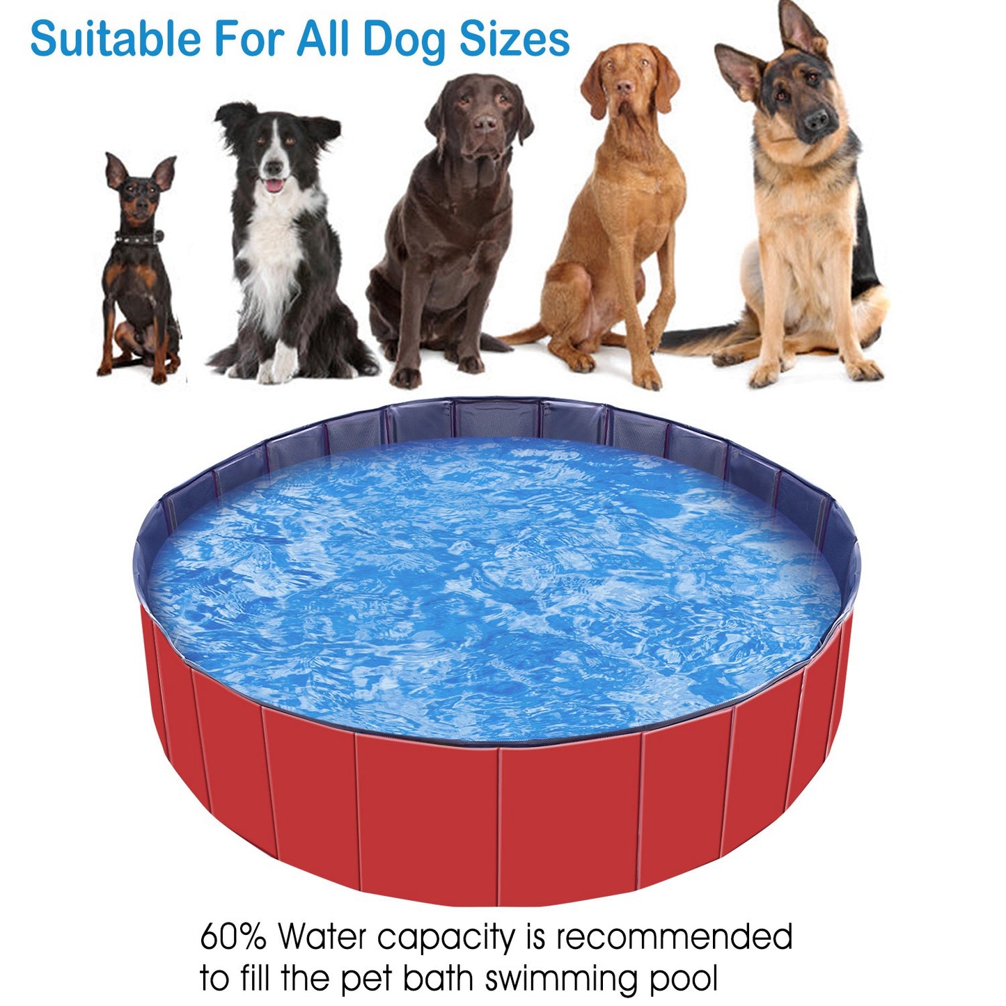 Foldable Pet Swimming Pool for Dogs and Cats - Portable PVC Bathing Tub