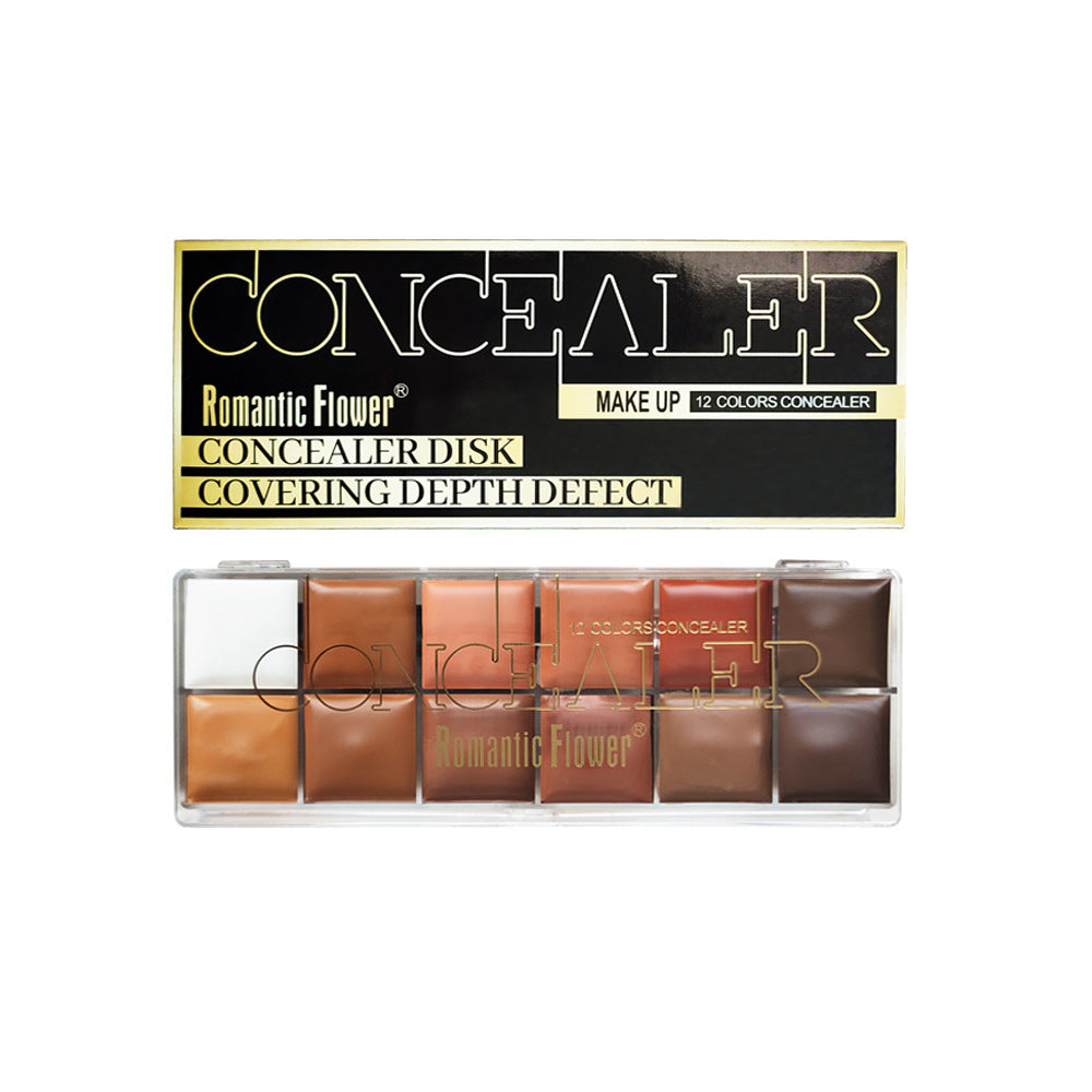 12-Color Waterproof Full Coverage Concealer for Dark Skin