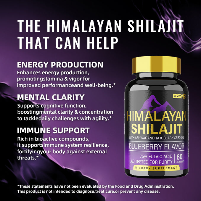 Shilajit Gummies - 60 Count Natural Energy Supplement