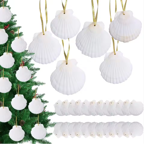 24pcs Natural Seashells for Crafting Christmas Ornaments - DIY Decorations
