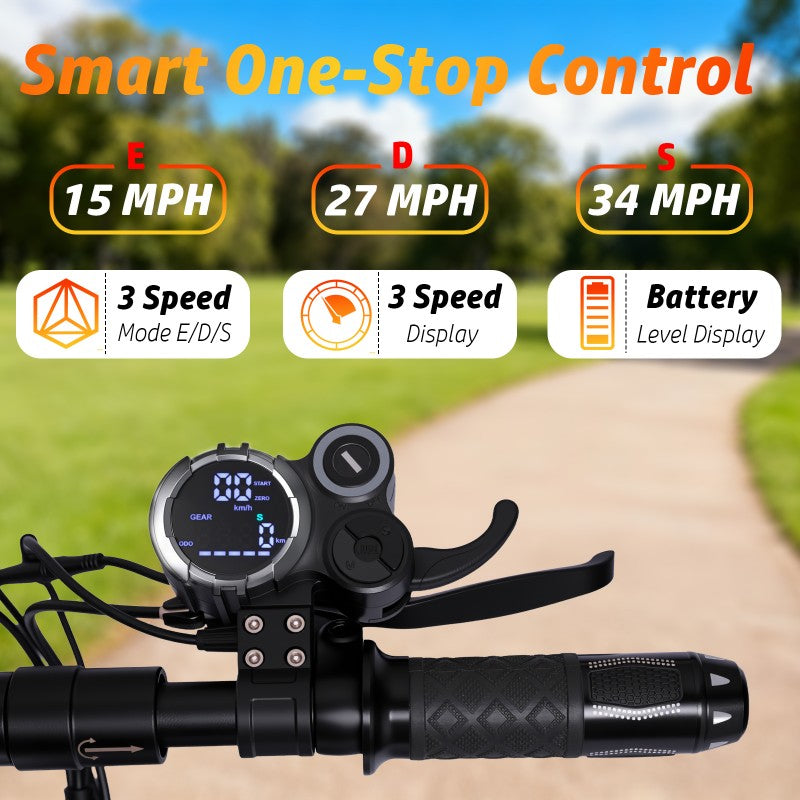 Electric Scooter D02 Pro - 1200W, 48V 18Ah, Off-Road