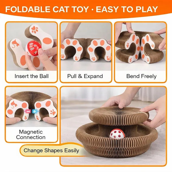 Foldable Cat Scratcher Toy with Ball - Interactive Kitty Play & Rest Bed