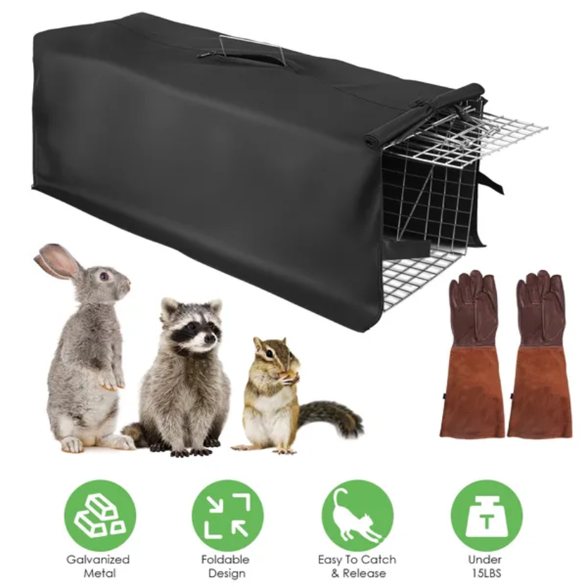 Heavy Duty Live Animal Trap Cage - Foldable Design, Humane Capture
