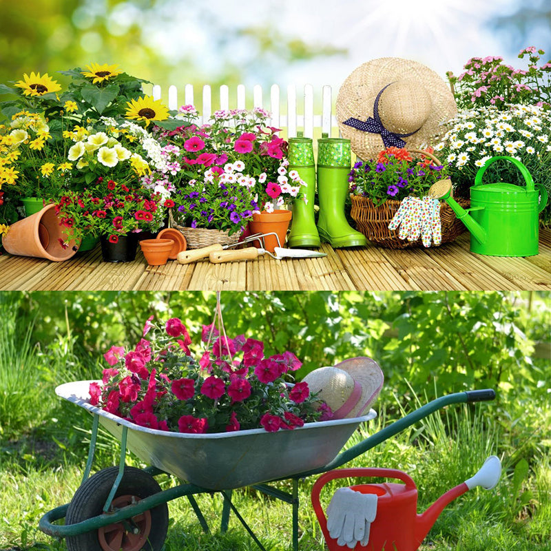 Mixed Climbing Plant Seeds Set - 5 Colors, Non-GMO Garden Seeds for Outdoor & Garden Use