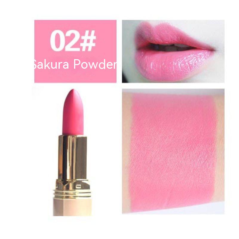 Moisturizing Lip Lacquer No Stain - Natural Matte Finish, Multiple Colors