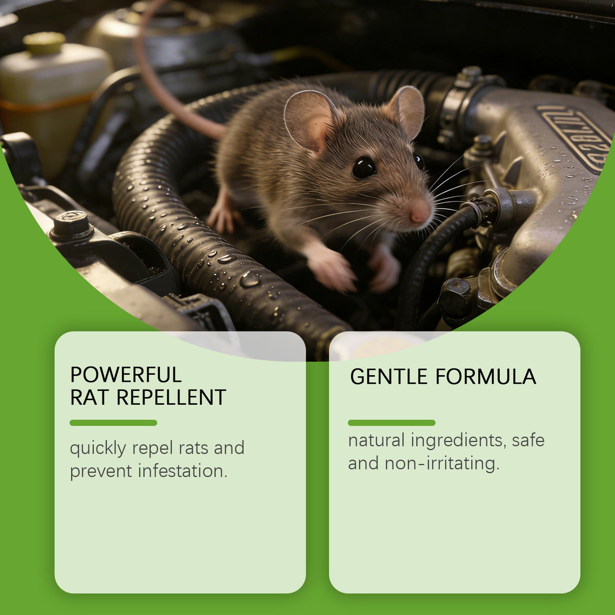 Rat Repellent Spray – Natural Insect & Rodent Control, 150ML