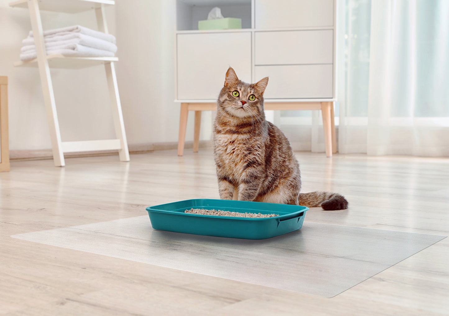 Pet Floor Mat Waterproof Anti-Scratch PVC Dog Cat Feeding Area Kennel Protector