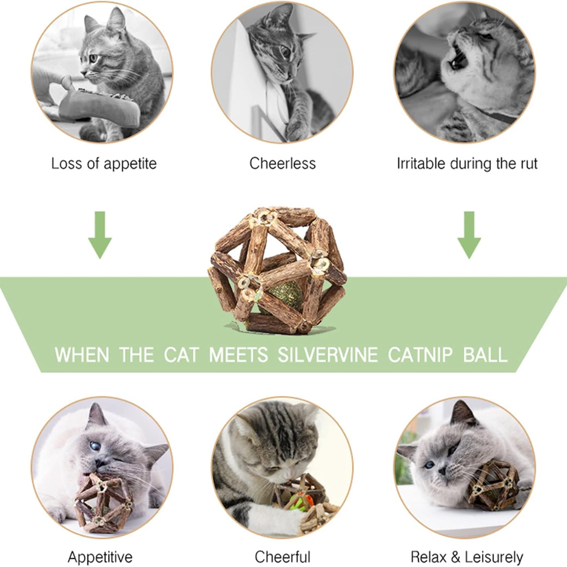 Natural Silvervine Catnip Stick & Ball Chew Toys for Dental & Mood Health