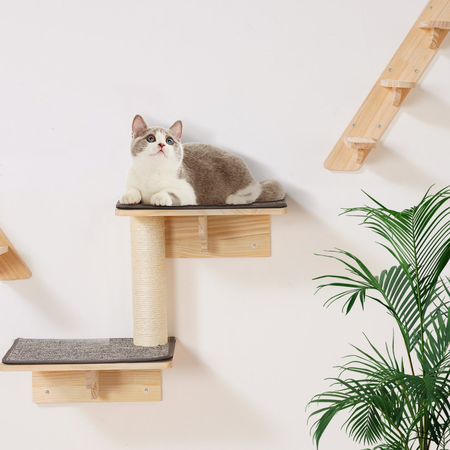 Wall Mounted Cat Shelves Tree Set with Jumping Boards Nests & Hammock - Natural