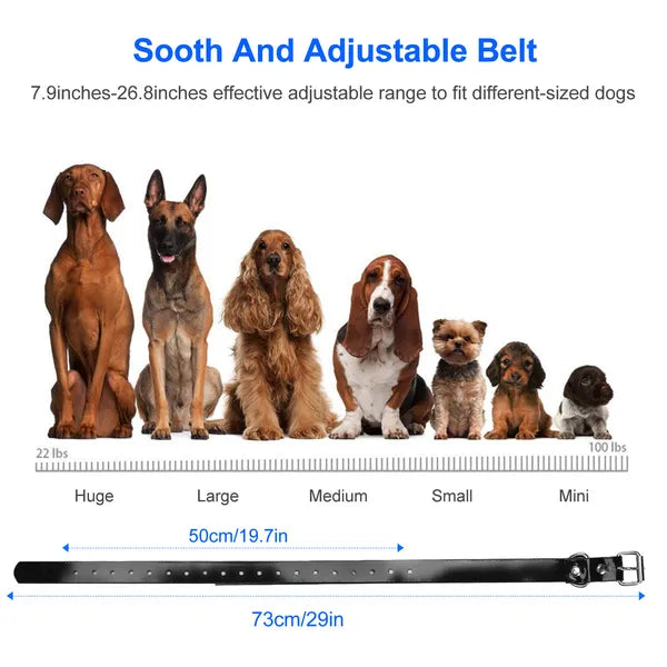 Waterproof Dog Training Collar Shock Bark Collar with Adjustable Belt
