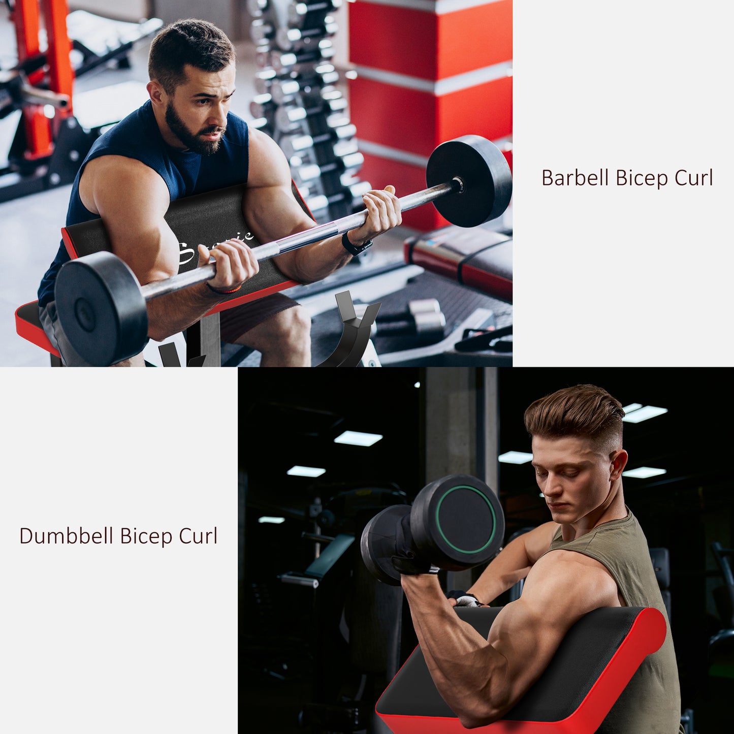 Adjustable Preacher Curl Bench for Strength Training - Black