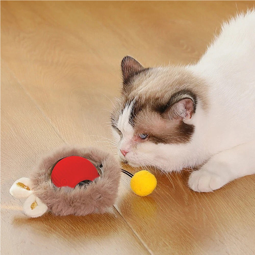Interactive Cat Chase Toy Ball with Lights and Self-Rotation – Durable Silicone, Multiple Modes