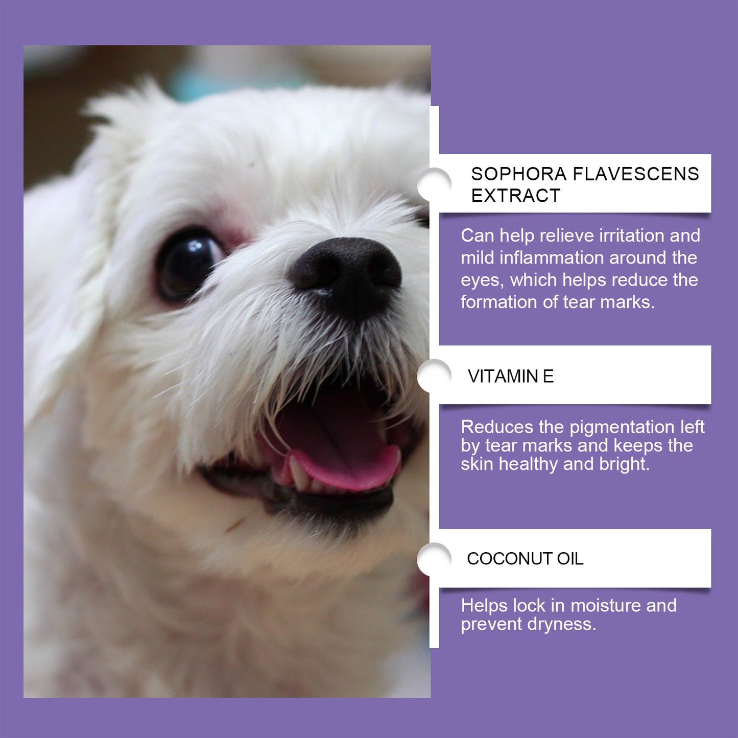 Dog Tear Stain Remover Paste with Honeysuckle & Coconut Oil - Gentle Brightening Eye Care 20g