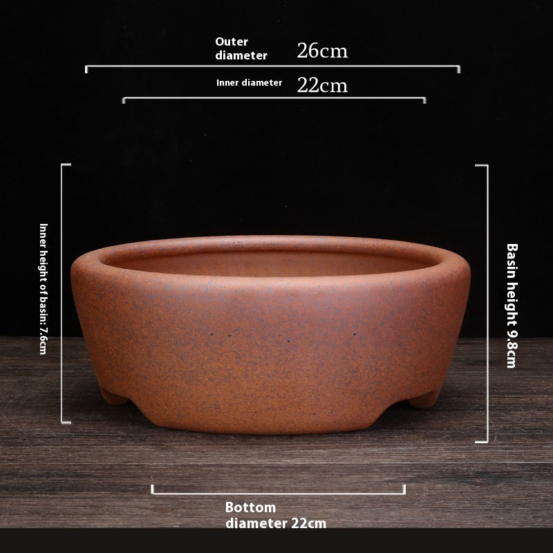 Indoor Decorative Porcelain Plant Pot with Purple Sand for Home & Office