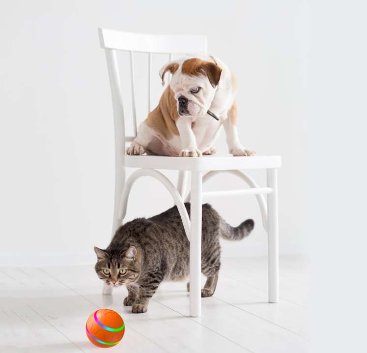 Interactive Cat Toy Ball - Self-Rotating, USB Rechargeable, Safe for Cats