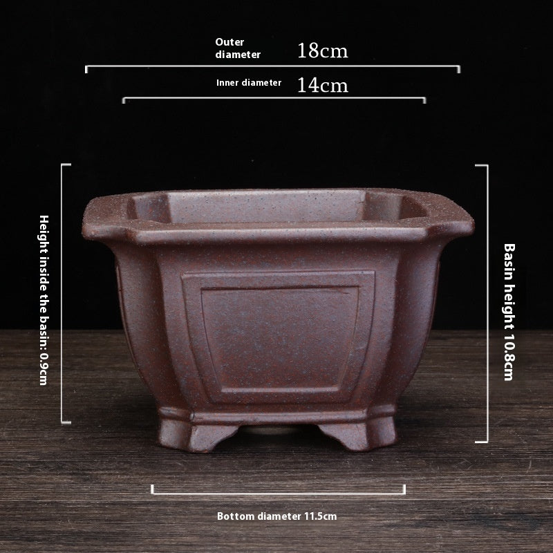 Indoor Decorative Porcelain Plant Pot with Purple Sand for Home & Office