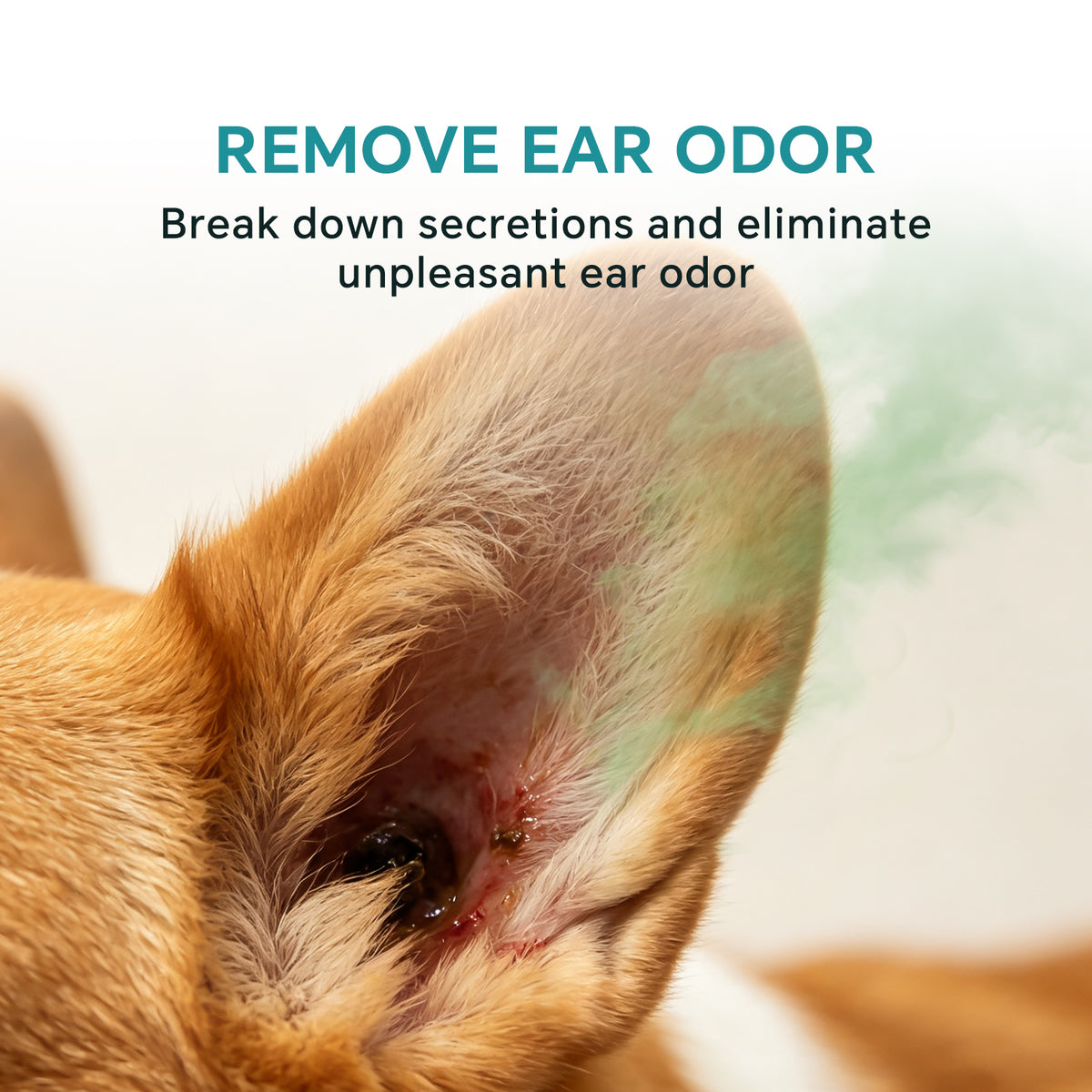 Pet Ear Drops - Ear Care Solution for Pets, Specification Included