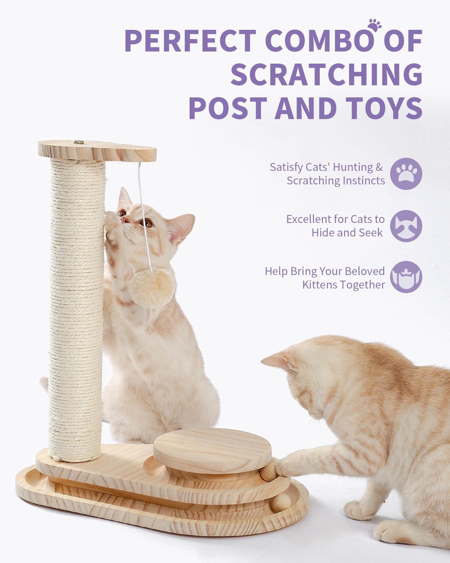 Indoor Cat Scratching Post and Interactive Toy Track Set - Small Cats