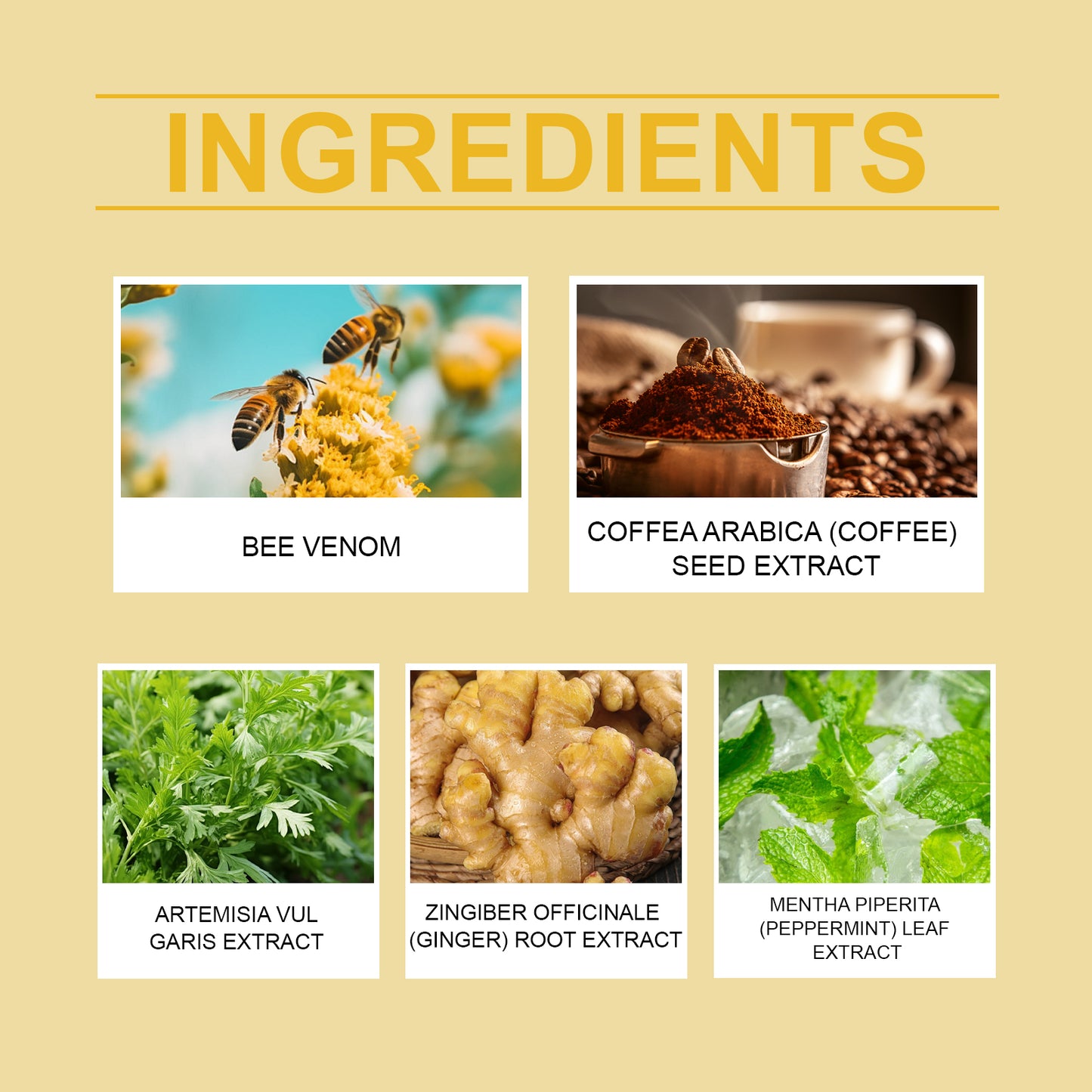 Bee Venom Slimming Patch - Herbal Belly Firming & Metabolism Support - 10 Pcs