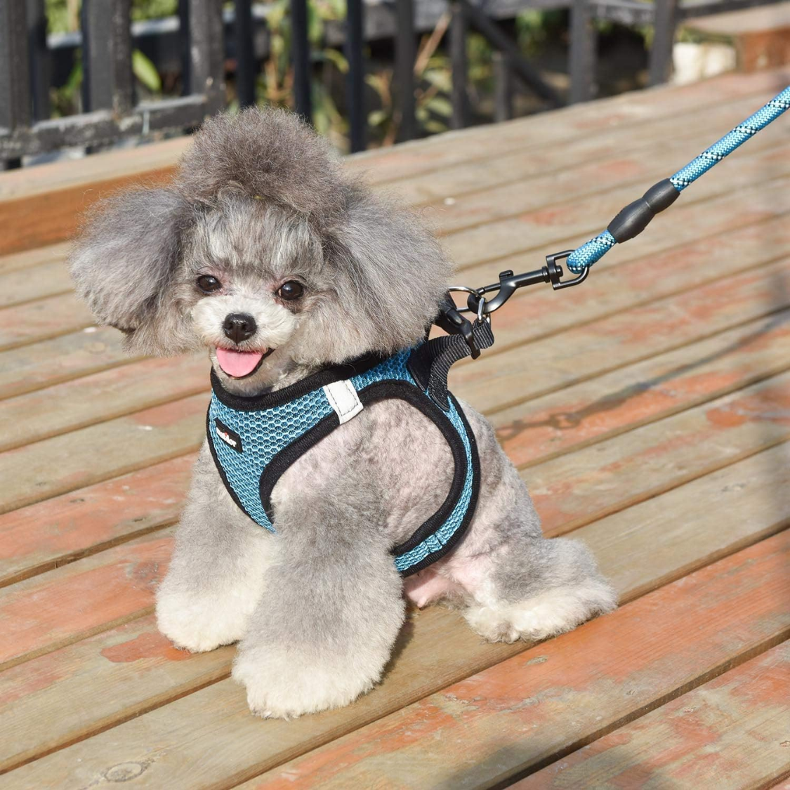Breathable Dog & Cat Vest Harness with Leash - Small Medium Pets, Blue
