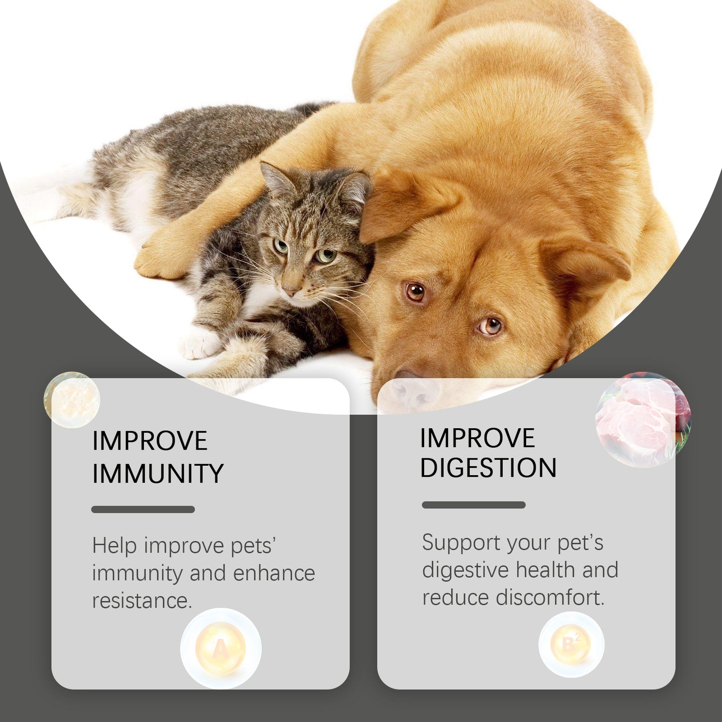 Pet Probiotic Chewable Tablets for Dogs & Cats - Digestive & Immune Support, 80 Count