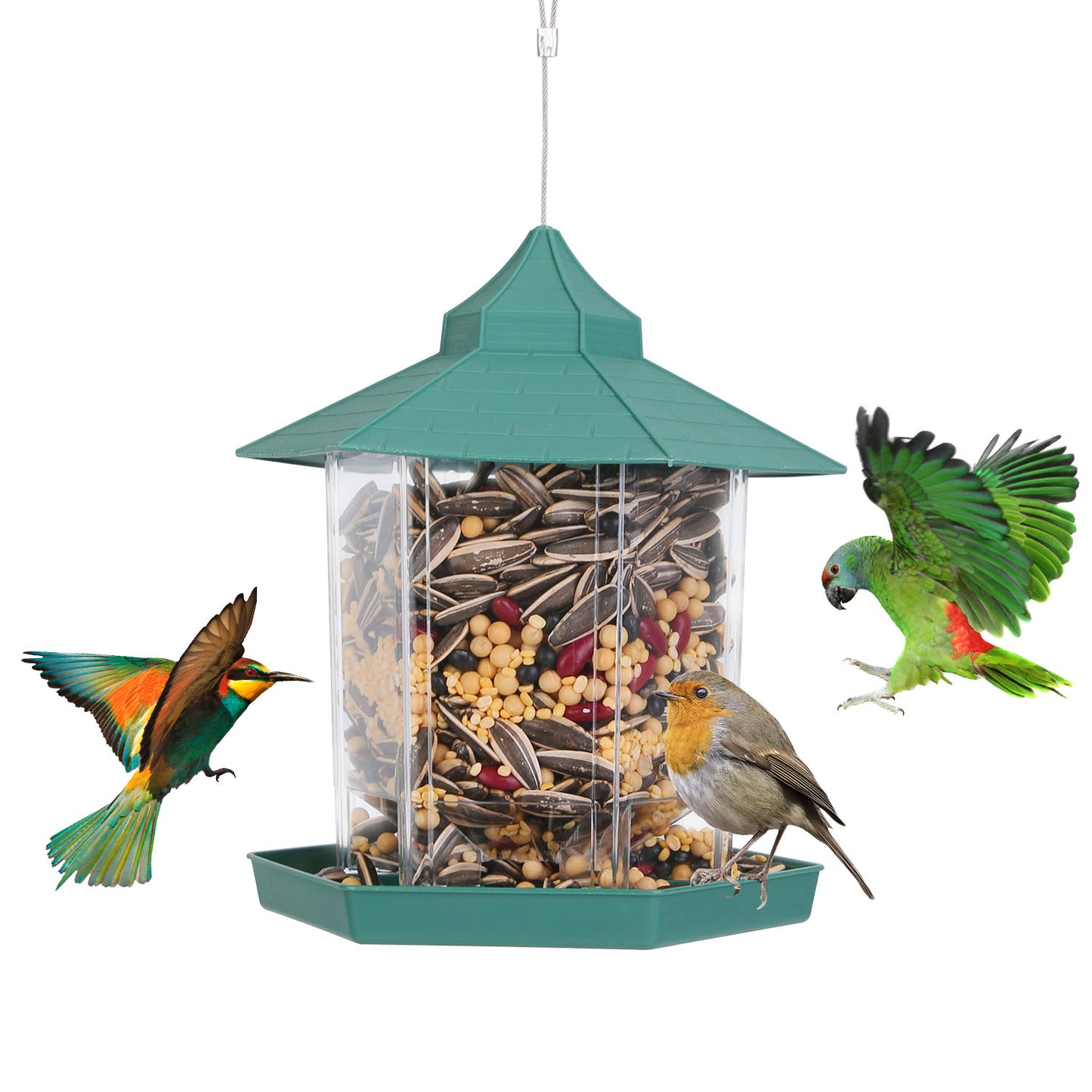 Hanging Bird Feeder with Large Capacity and 6 Feeding Ports for Garden Patio Park