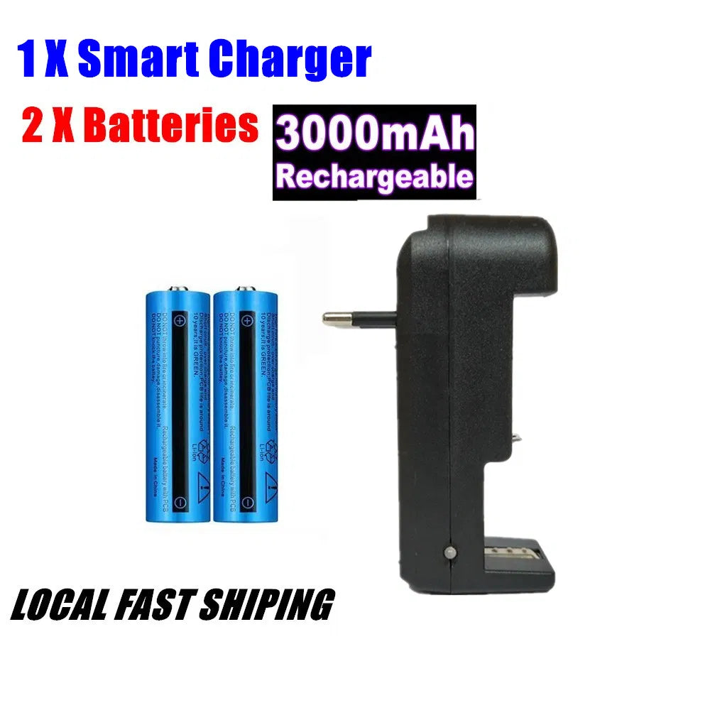 Rechargeable 3000mAh 3.7V Li-Ion Batteries with European Charger for Flashlights & Devices — Pack of 2 or 4