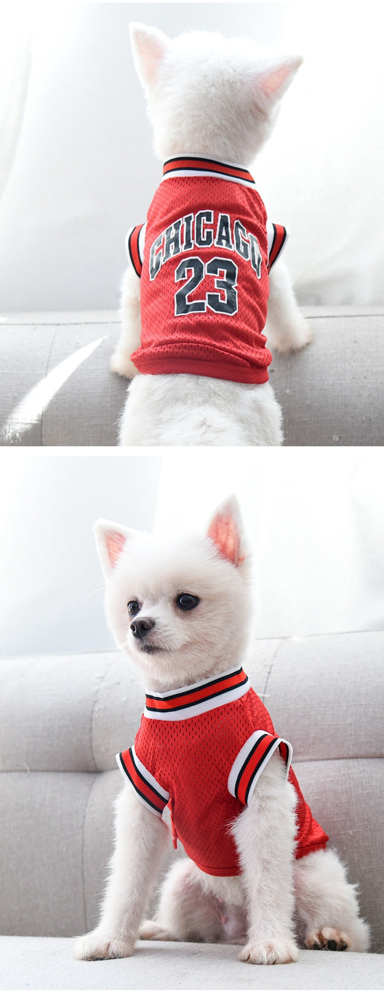 Large Mesh Basketball Dog Vest - Summer Pet Clothes for Active Dogs
