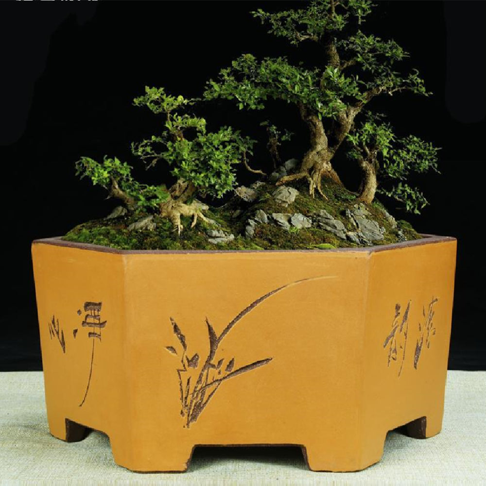 Large Hexagonal Ceramic Bonsai Basin with Purple Sand for Home Garden
