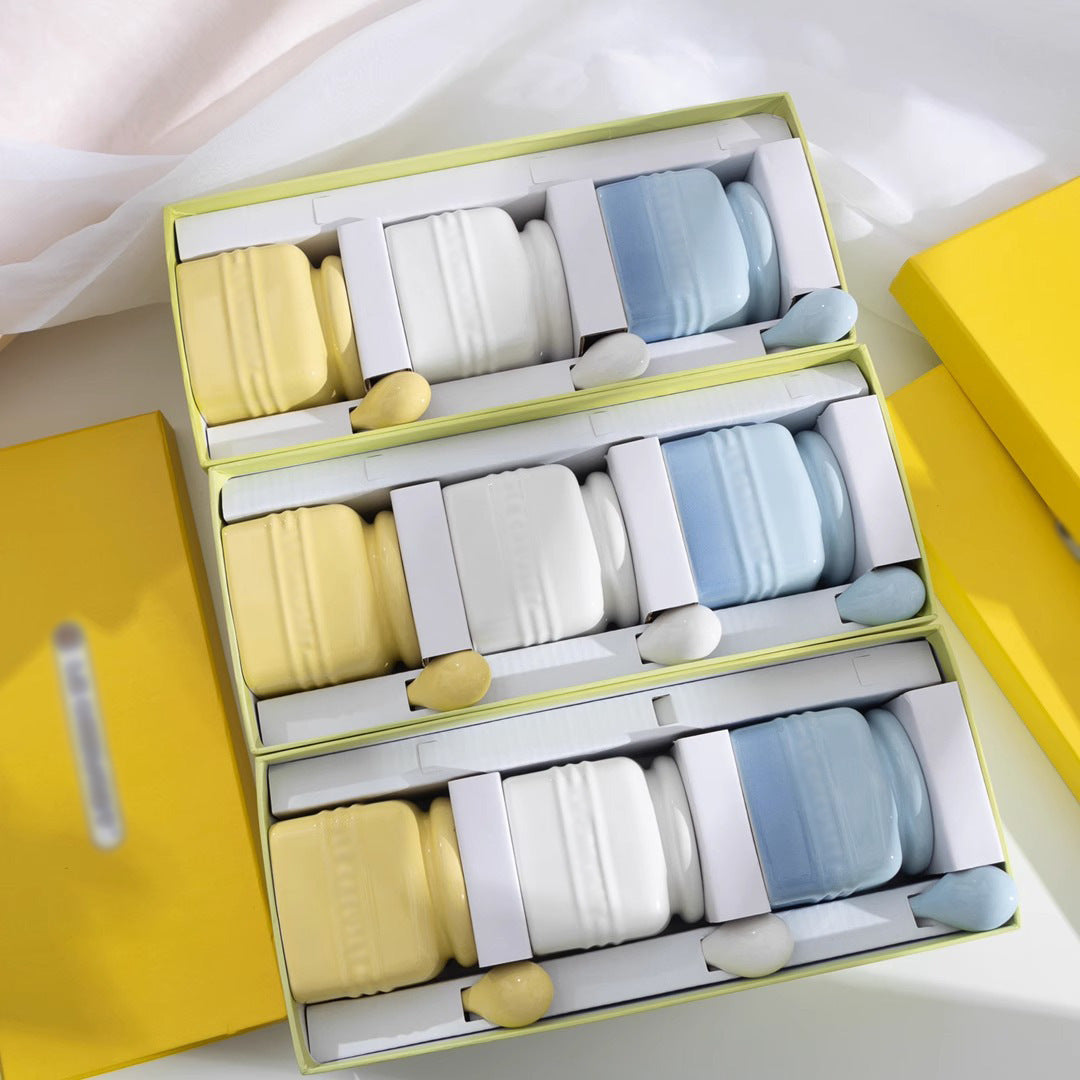 Ceramic Seasoning Jar Set with Spoon - Gift Box Condiment Bottles, Color Options