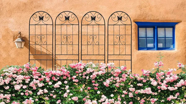 Metal Garden Trellis for Climbing Plants - 71" x 19.7" - Black - 4 Pack