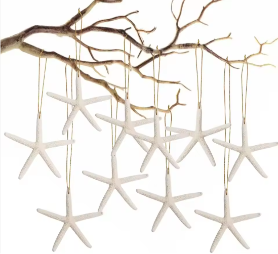 20 PCS Natural Starfish Hanging Ornaments - 3-4'' White