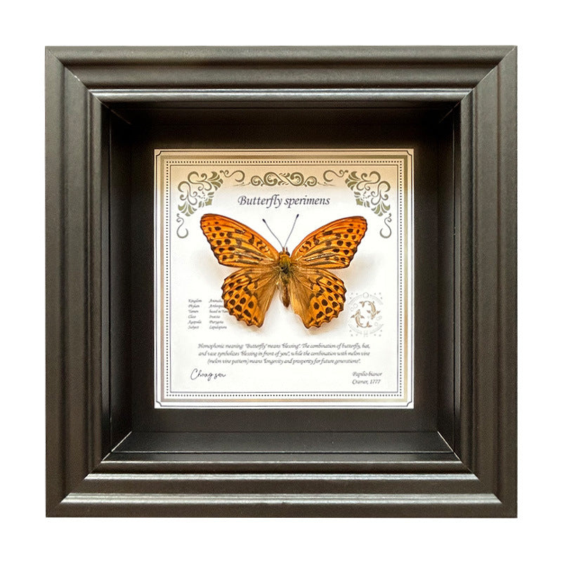 Butterfly Specimen Wall Art - Framed Decorative Butterfly Print - Multiple Sizes & Styles