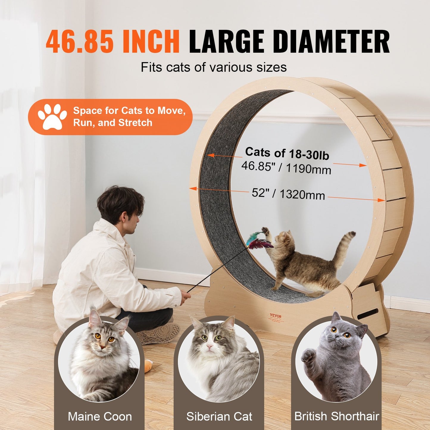 Large Wooden Cat Exercise Wheel 52-inch Indoor Feline Treadmill for All Sizes