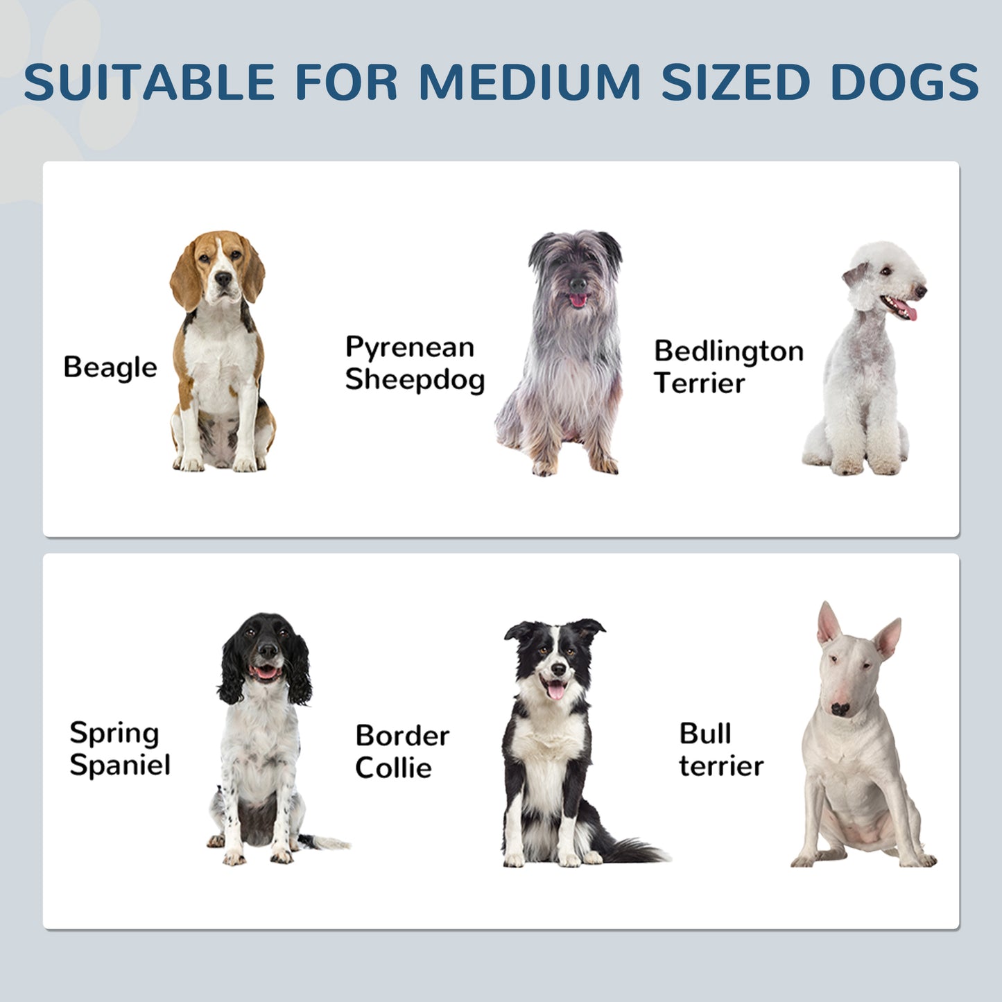 Pet Feeding Station with Adjustable Height & Hidden Bowls - Medium Dogs, White
