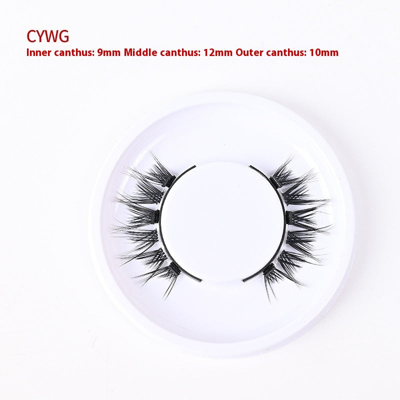Magnetic Glue-Free False Eyelashes - Natural Look, Long-Lasting, Collection Use