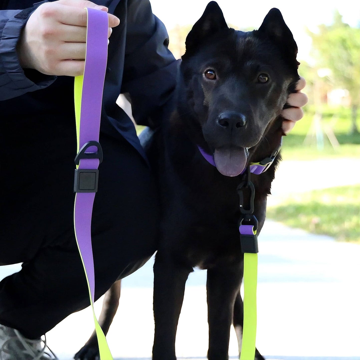 Honeycomb Embossed Dual-Color Pet Leash Set Waterproof & Wear-Resistant