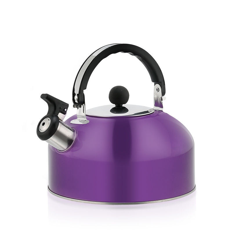 Large Capacity Stainless Steel Whistling Kettle for Induction Cookers - 3L