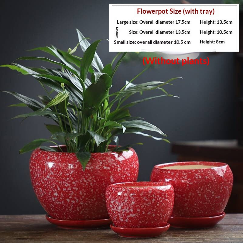 Minimalist Succulent Pot Set - Breathable, Durable Terracotta Planters with Trays