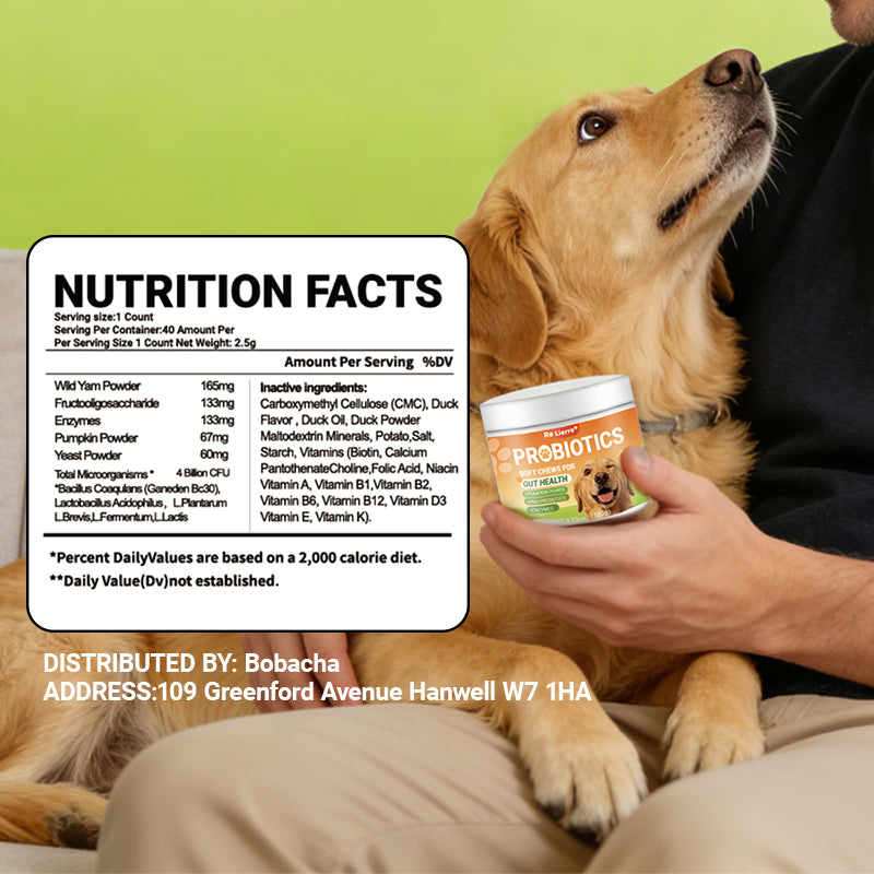 Dog Probiotics Soft Chews for Digestive Health - 40 Servings